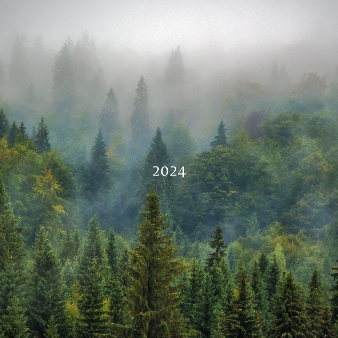 2024