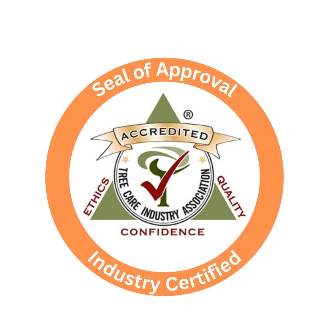 Seal of Approval